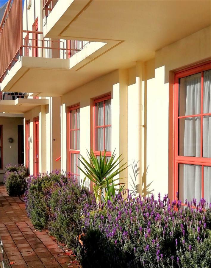 Addington Stadium Motel Крайстчерч Екстер'єр фото
